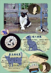 猫の踊り場